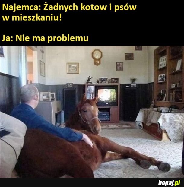 Nie ma problemu