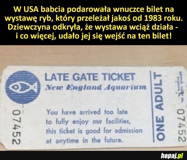 Bilet od babci