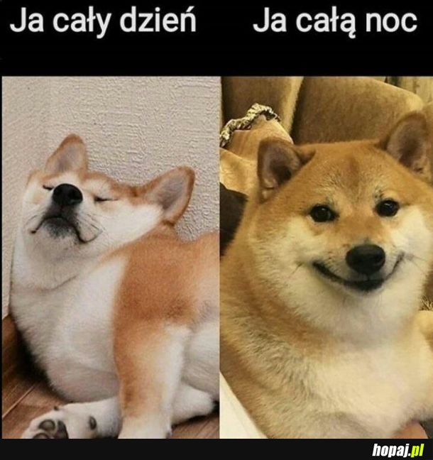 I tak całe życie