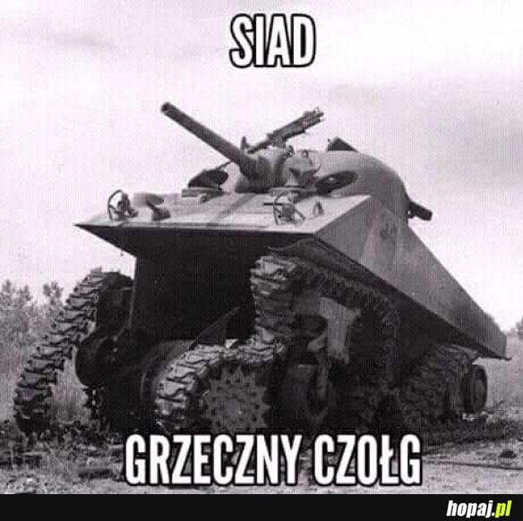 Grzeczny czołg