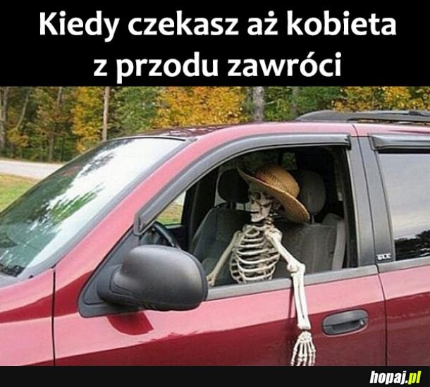 Czekanie 