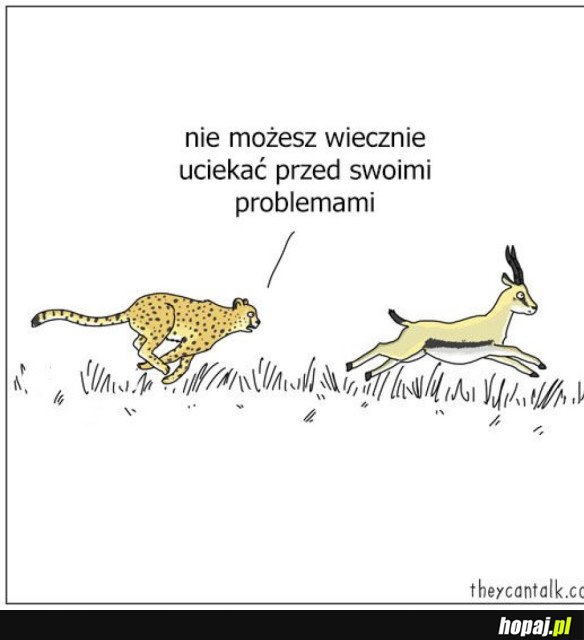 PROBLEMY
