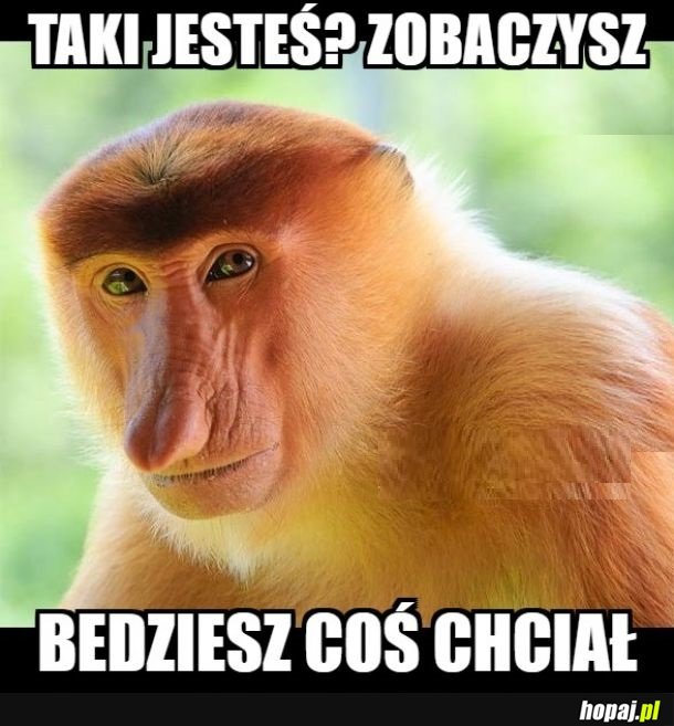 Zobaczymy