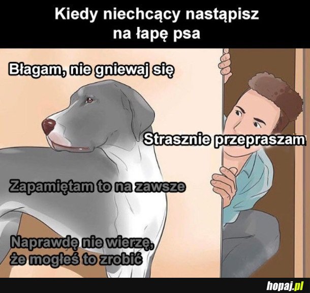 CZŁOWIEK JAK MOGŁEŚ