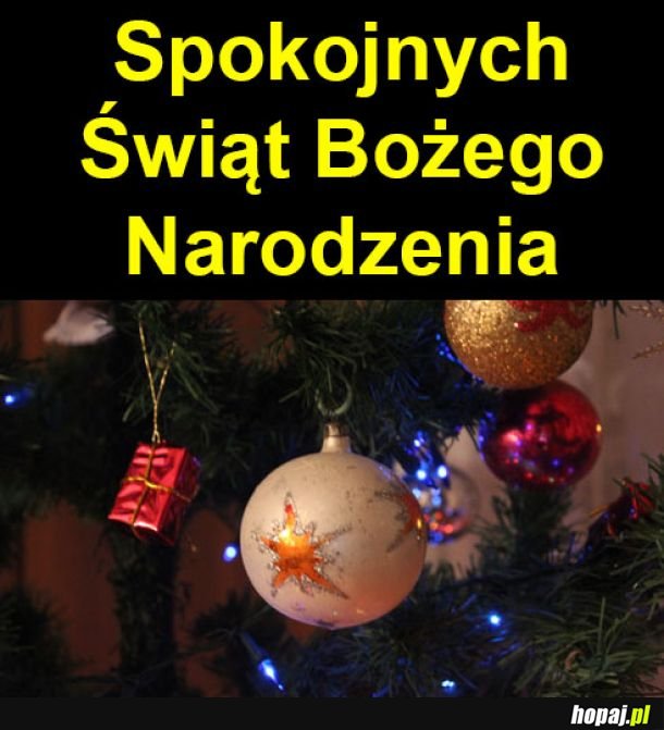 Wesołych !!!