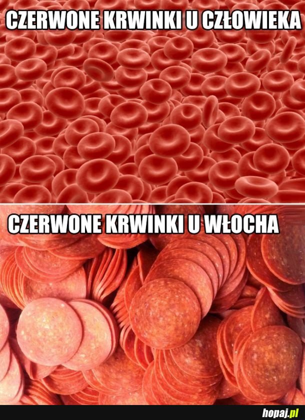 Czerwone krwinki