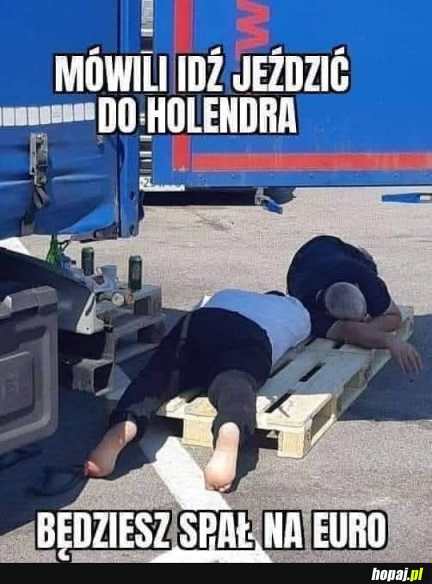 N***bani ?