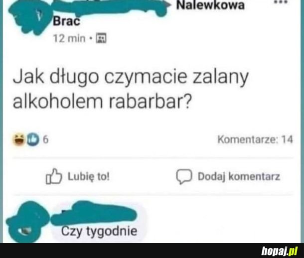 Język polski