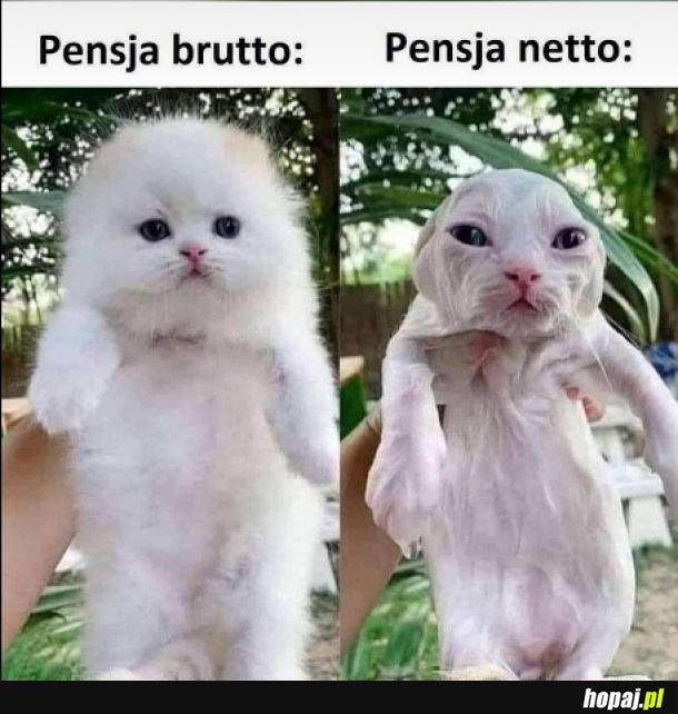 Pensja