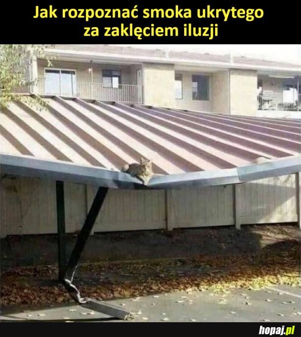 Zaklęcie iluzji