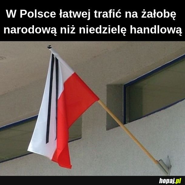 Żałoba 