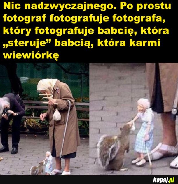 Babcia i wiewiórka