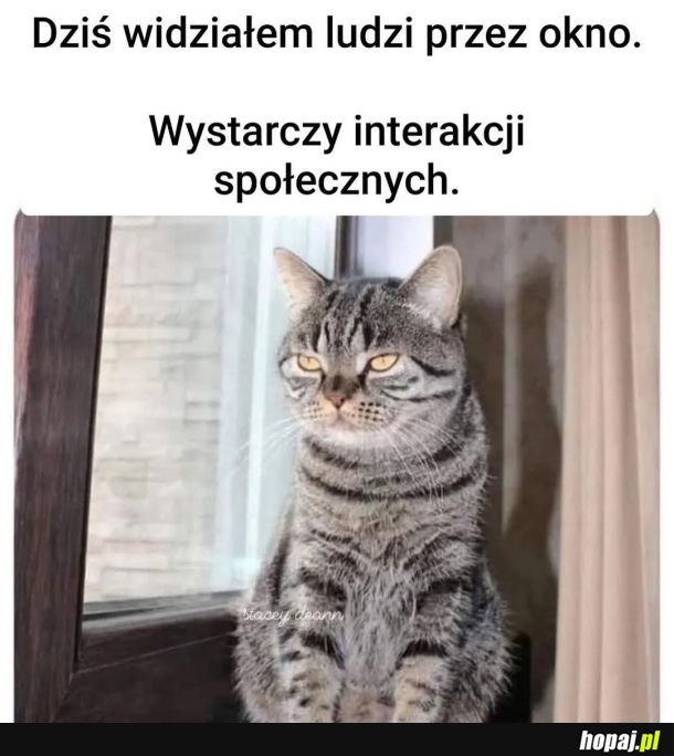 Co za dużo to niezdrowo