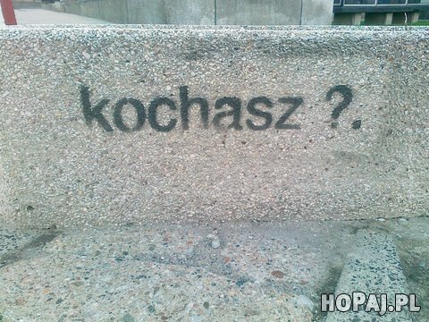 Kochasz?