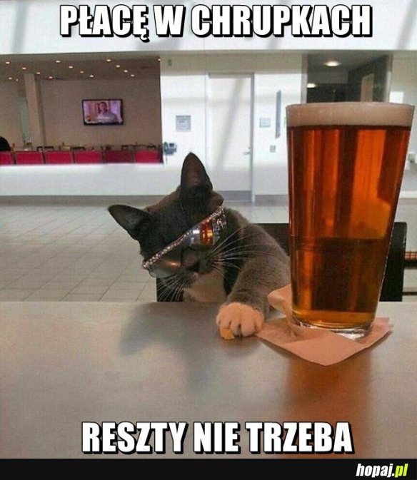 Płacę w chrupkach