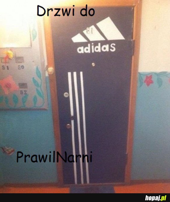 PrawiNarnia