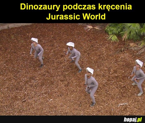 Dinozaury