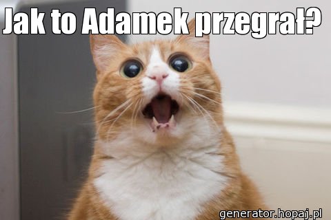 Jak to Adamek przegrał?