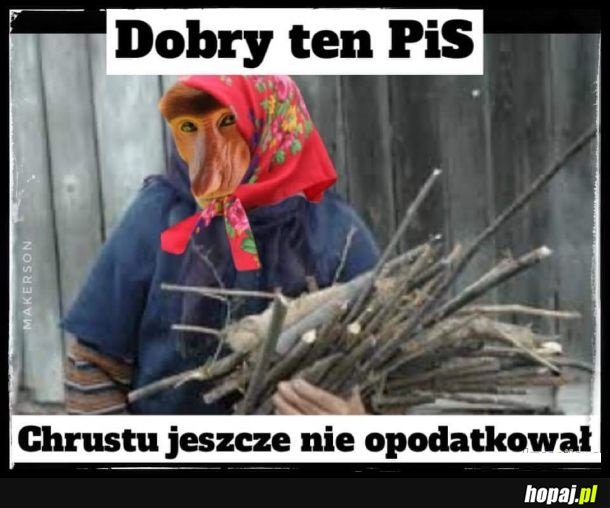 Głosijta dali na nich