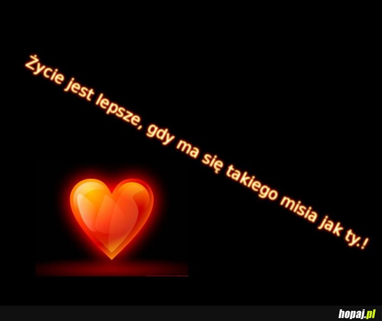Dla Misia <3