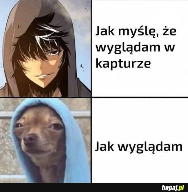 Kaptur