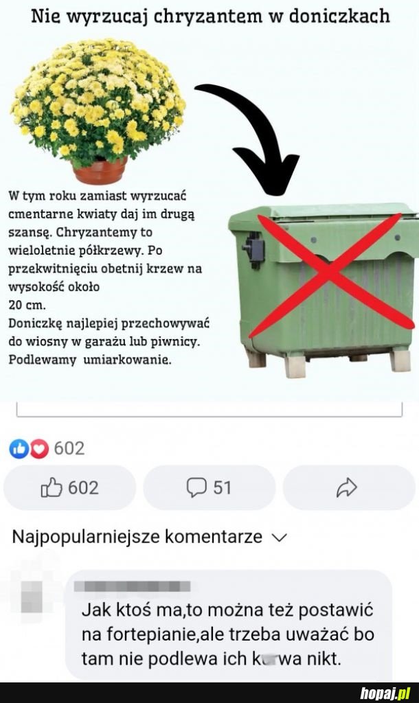 Zabawna odpowiedź