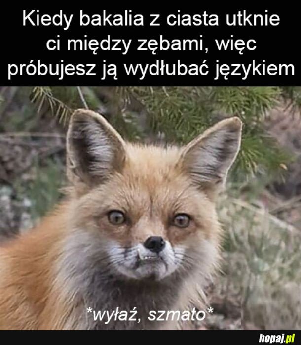 Pełne skupienie