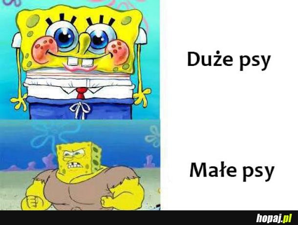 Różnica 