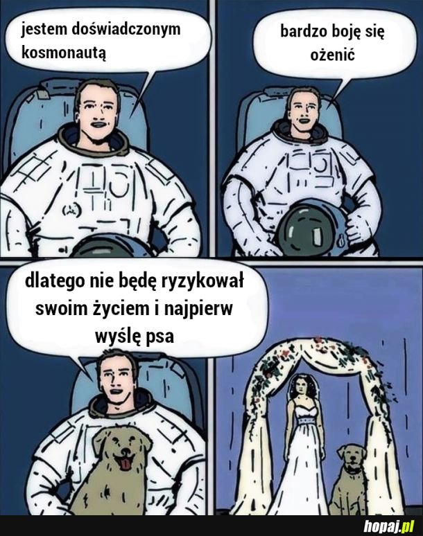 Risk 