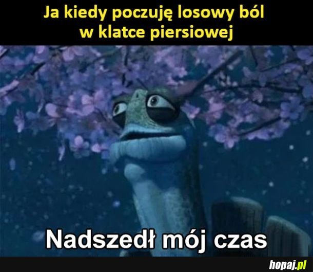 To ja w ostatnim czasie