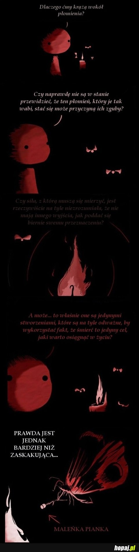 Dlaczego ćmy krażą wokół płomienia?