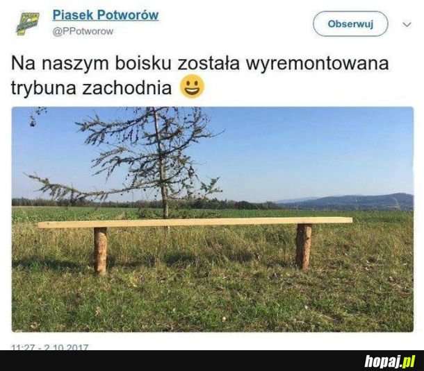 Polskie orliki