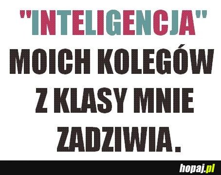 INTELIGENCJA