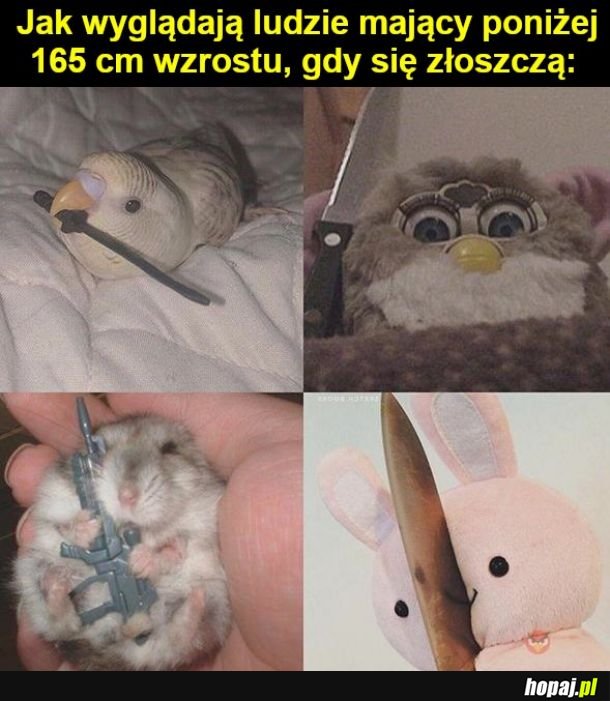 Strach się bać