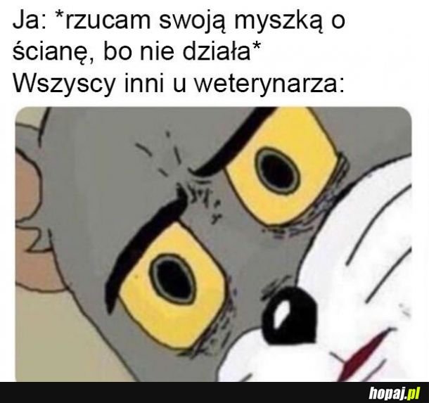 Myszka 