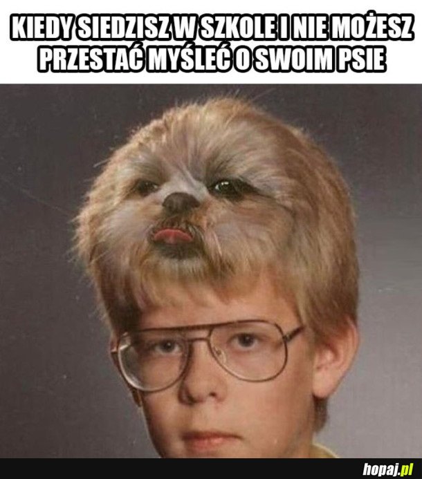 MYŚLĘ TYLKO O PIESKU