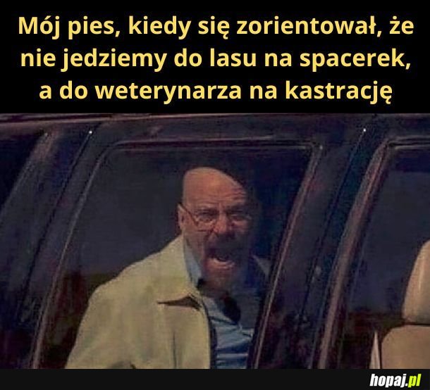 Skąd on wie, co to &quot;kastracja&quot;?
