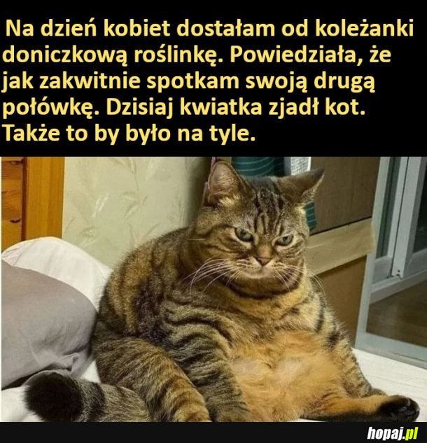 Dzień kobiet