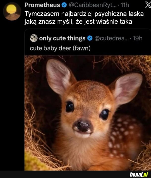 Cute