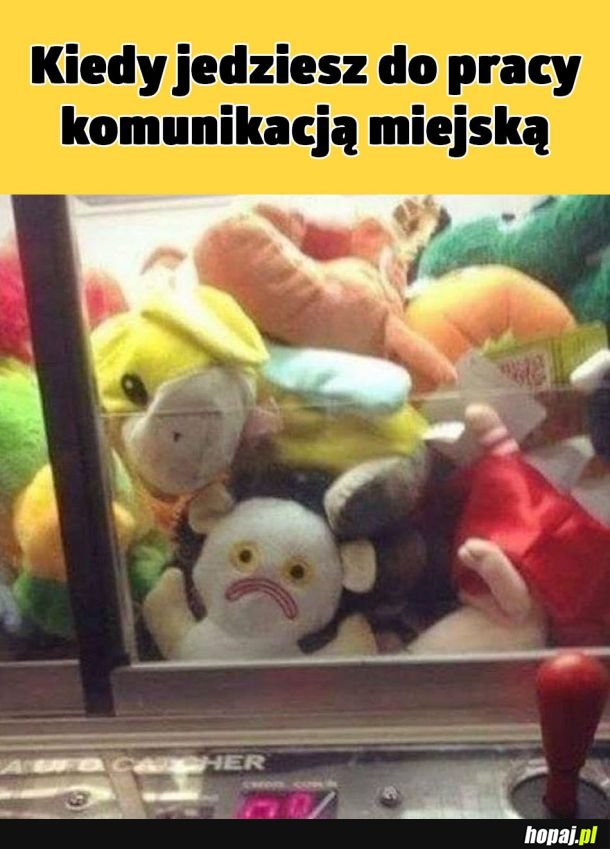  Komunikacja miejska