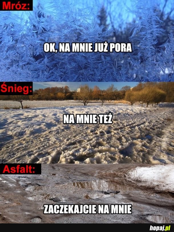 Zwijają się.