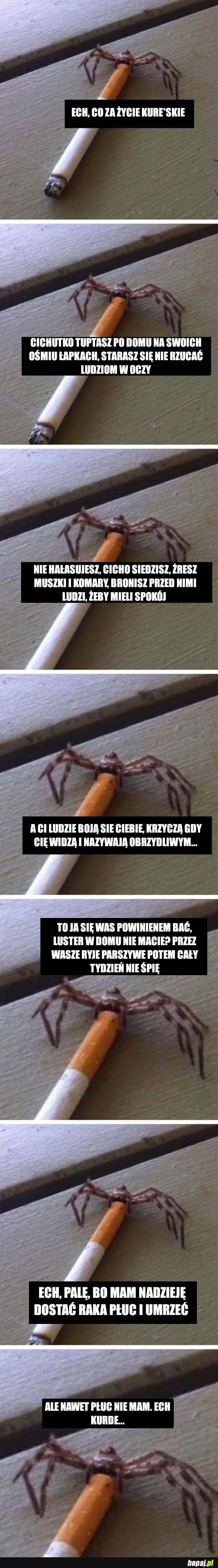 Ciężkie życie stawonoga