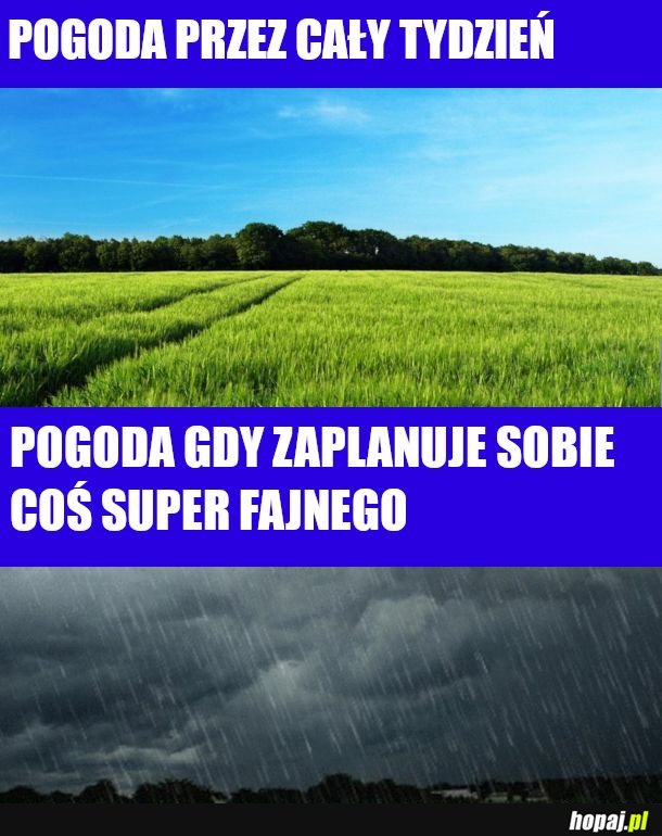 Wiadomiks 