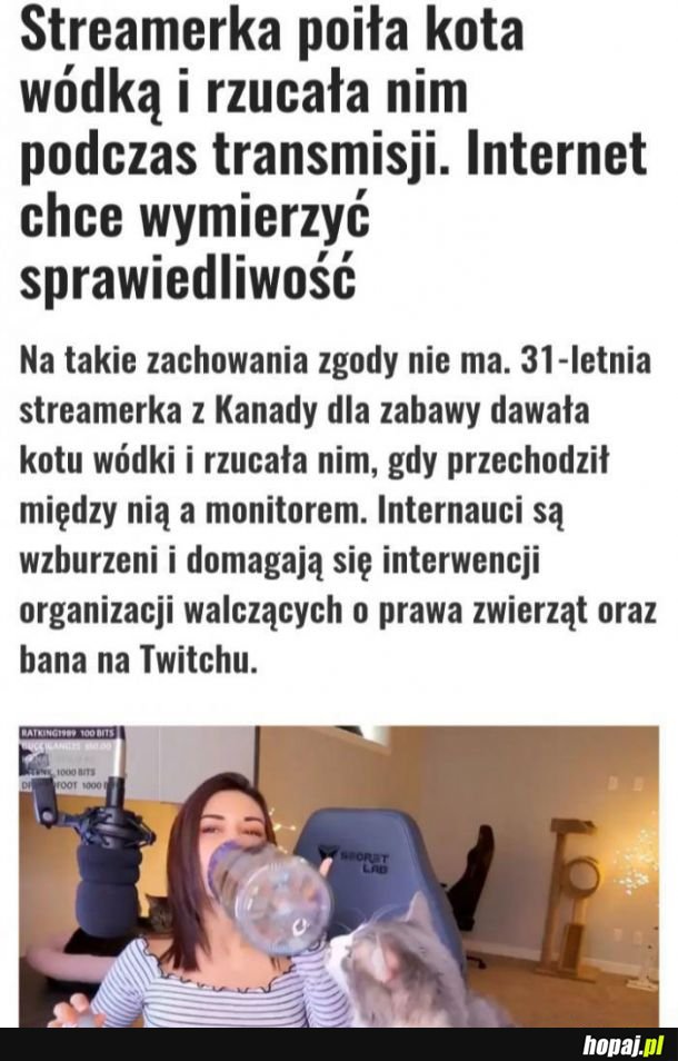  Streamerka