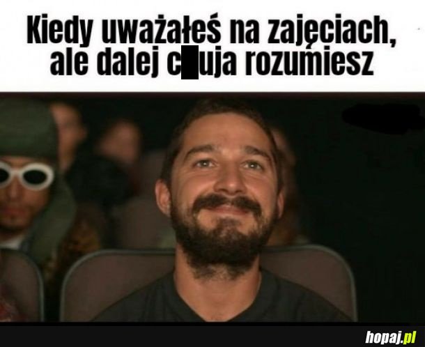 Zajęcia