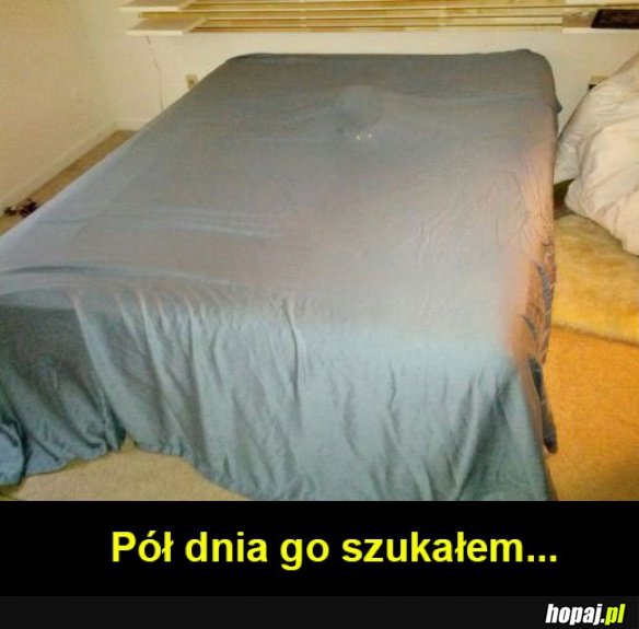 Koteł