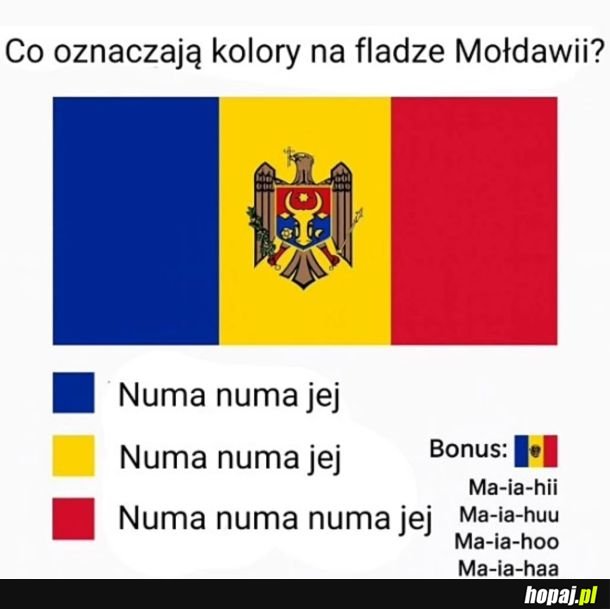 Warto zapamiętać znaczenie