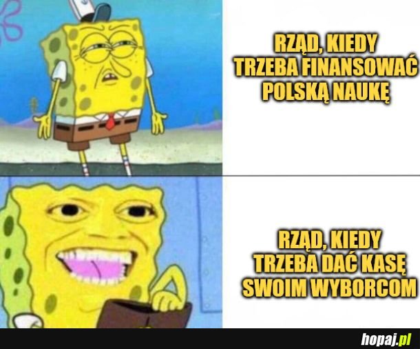 Rząd. 