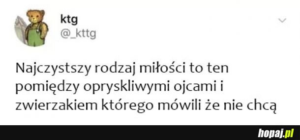 Najlepsza miłość 