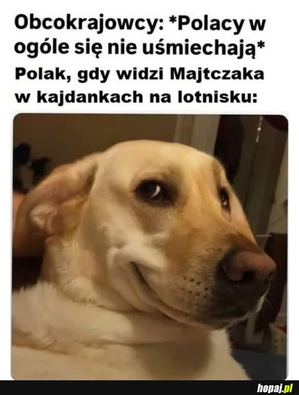 Powód do uśmiechu
